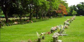 Floricultura Cemitério Parque da Cidade