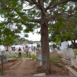 Floricultura Cemitério Jardim das Oliveiras Açailândia – MA