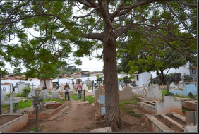 Floricultura Cemitério Jardim das Oliveiras Açailândia – MA