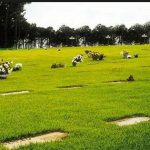 Cemitério Pq. Das Garças Santana de Parnaíba