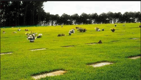 Floricultura Cemitério Parque Das Garças Santana de Parnaíba – SP