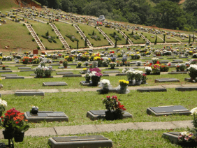 Floricultura Cemitério Alpha Memorial Barueri – SP