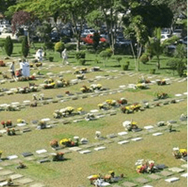 Floricultura Cemitério Parque das Flores Campinas – SP