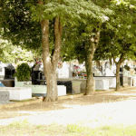 Floricultura Cemitério Colônia Paraíso São José dos Campos/SP