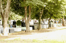 Floricultura Cemitério Colônia Paraíso São José dos Campos/SP