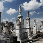 Floricultura Cemitério da Saudade Caieiras – SP