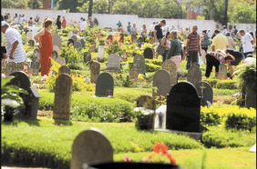 Floricultura Cemitério Jardim da Saudade Blumenau – SC