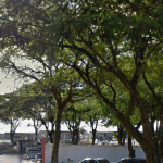 Floricultura Cemitério Distrito de Eugênio de Mello São José dos campos – SP