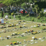 Floricultura Cemitério e Crematório Parque das Flores São jose dos campos – SP