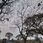 Cemitério Municipal Embu Guaçu