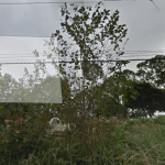 Velório Municipal de Francisco Morato/SP