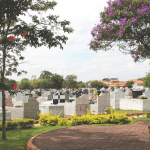 Floricultura Cemitério Municipal Centro São José dos Campos – SP