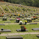 Floricultura Cemitério da Grande Planíce Praia Grande – SP