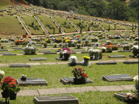 Floricultura Cemitério da Grande Planíce Praia Grande – SP