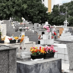 Floricultura Cemitério Nossa Senhora da Piedade – Jundiaí – SP