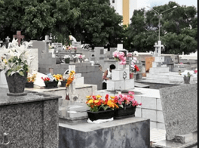 Floricultura Cemitério Nossa Senhora da Piedade – Jundiaí – SP