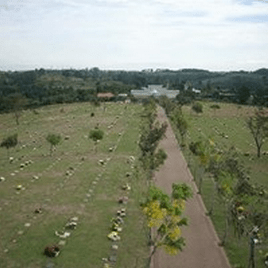 Floricultura Cemitério Parque das Aleias Campinas – SP