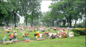 Floricultura Cemitério Saudades de Limeira – SP