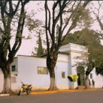 Floricultura Cemitério São Salvador Mogi das Cruzes – SP