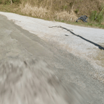 Floricultura Cemitério Vaticano em Almirante Tamandaré – PR