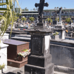 Floricultura Cemitério Ecumênico São Francisco de Paula Pelotas – RS