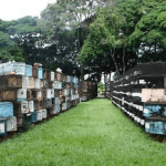 Cemitério Municipal  