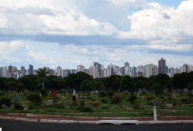 Floricultura Cemitério Municipal Campo do Bom Pastor