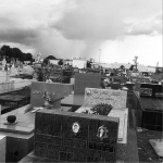 Floricultura Cemitério São João Batista Uberaba – MG