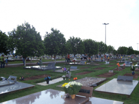 Floricultura Cemitério Nossa Senhora Medalha Milagrosa Uberaba – MG