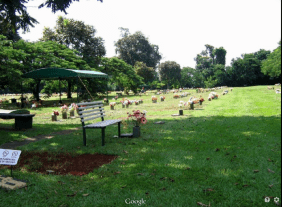 Floricultura Cemitério Parque de Maringá – PR