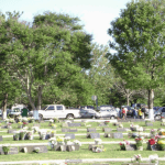Floricultura Cemitério Parque Jardim Paraíso Ponta Grossa – PR