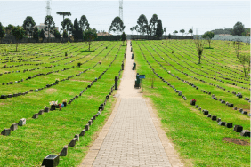 Floricultura Cemitério Parque Senhor Do Bonfim São José dos Pinhais – PR