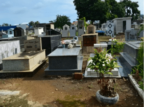 Floricultura Cemitério São Francisco em Ariquemes – RO