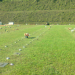 Floricultura Cemitério Bela Vista Parque  -Caraguatatuba SP