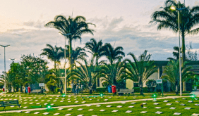 Floricultura Cemitério Campo Santo Parque da Paz Campina Grande – PB