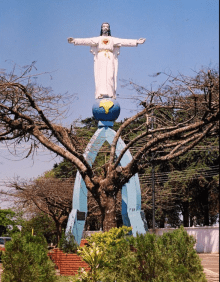 Floricultura Cemitério Cristo Rei Apucarana, Paraná