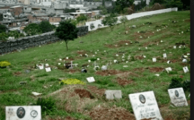 Floricultura Cemitério parque da paz Cariacica – ES