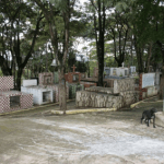 Cemitério do Ariston 