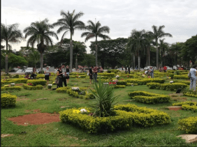 Floricultura Cemitério Memorial dos Lagos Cabo Frio – RJ