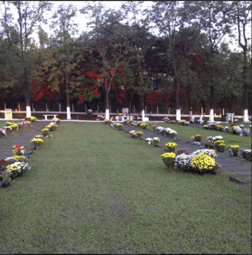 Floricultura Cemitério Memorial Parque Jardim das Oliveiras Barreto – SP