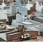 Floricultura Cemitério municipal de Araucária – PR