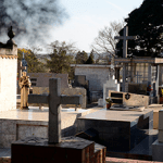 Floricultura Cemitério Municipal Cambé – PR