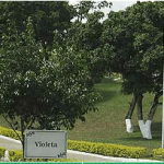 próxima ao Cemitério Cachoeiro de Itapemirim