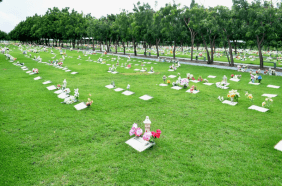 Floricultura Cemitério Parque da Saudade Caucaia – CE