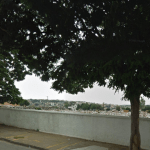 Floricultura Cemitério São Sebastião Atibaia – SP