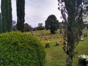 Floricultura Cemitério Parque de Campo Grande – MS