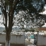 Floricultura Cemitério São Benedito Biritiba Mirim – SP