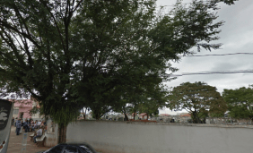 Floricultura Cemitério Bosque da Saudade Campo Limpo Paulista – SP