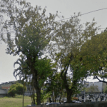 Floricultura Cemitério Centro Israelita de Niterói  São Gonçalo – RJ