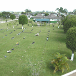 Floricultura Cemitério Jardim Eterno Paranaguá – PR